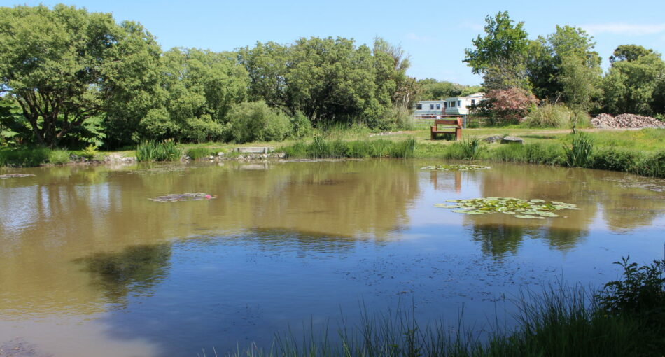 Bailey's Lake at Yet-y-Gors fishery and campsite in Pembrokeshire, Wales
