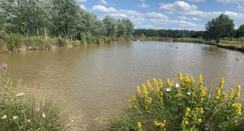 Old Trout Pool at Townsend Fisheries in Bridgnorth, Shropshire