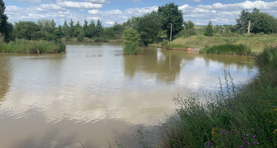 Top Specimen Lake at Townsend Fisheries in Bridgnorth, Shropshire