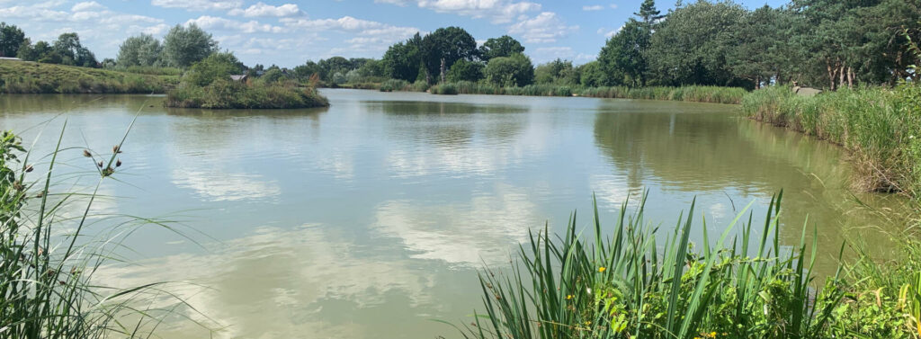 Townsend Fisheries