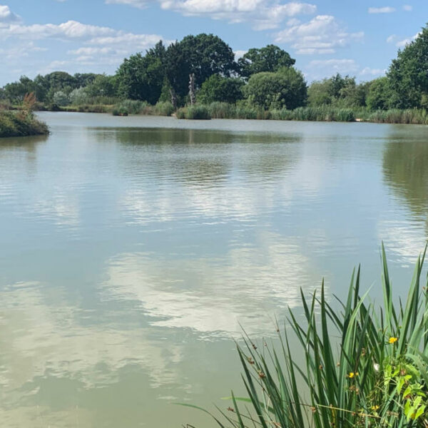 Townsend Fisheries