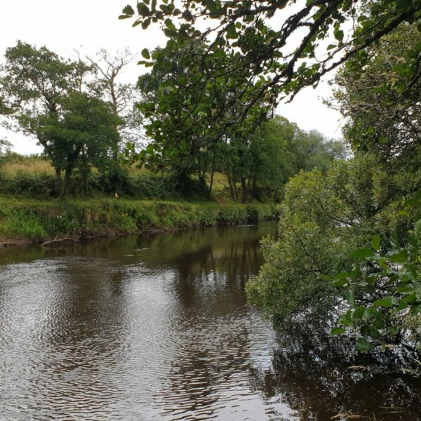 River Moy