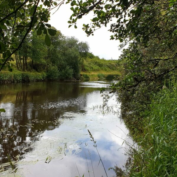 River Moy frontage in Ireland