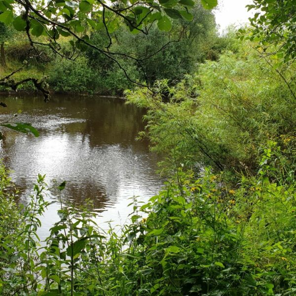 River Moy