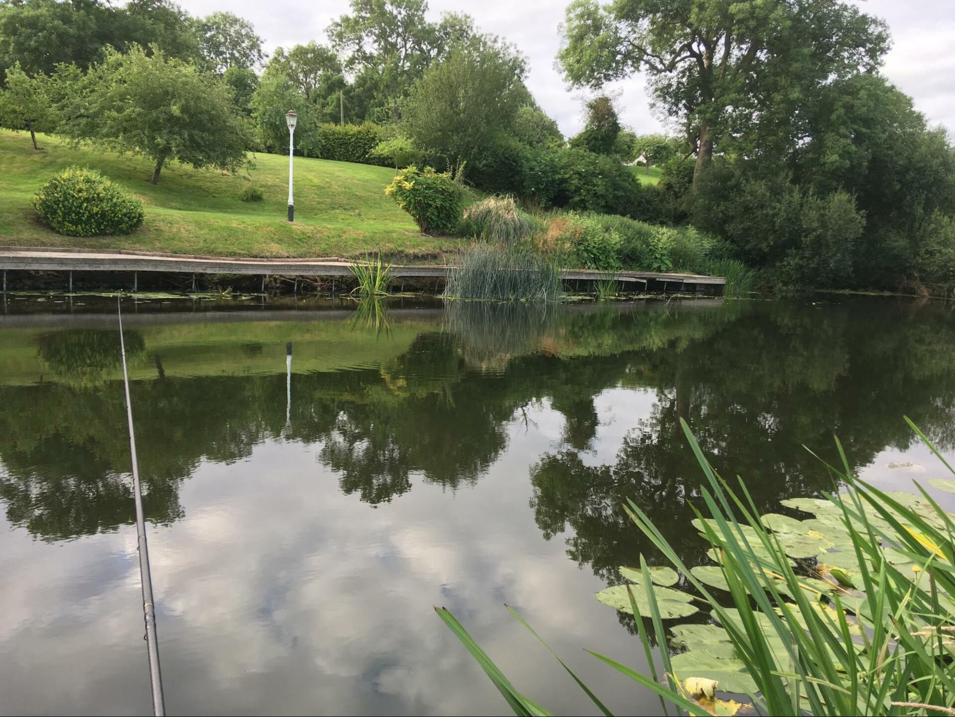 This beautiful stretch of river used to hold some lovely big chub several years ago. Now, even the bigger chub appear to have gone, there seems to be a really good number of smaller chub present indicating a swim that will be improving significantly over the next few years.