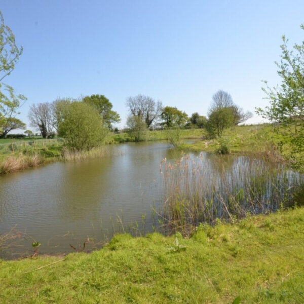 Take a Norfolk Broads fishing holiday at Parsley Cottage with Riverside Rentals