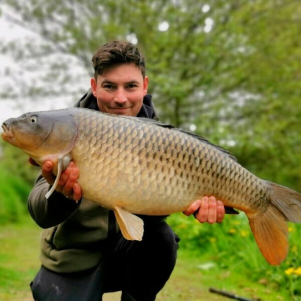 A lovely common carp from Rookery Lakes Cabin in rural Norfolk offers two private lakes with fishing for carp to 35lbs plus silvers