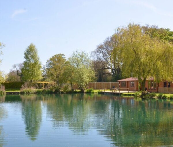 Rookery Lakes Cabin in rural Norfolk offers two private lakes with fishing for carp to 35lbs plus silvers