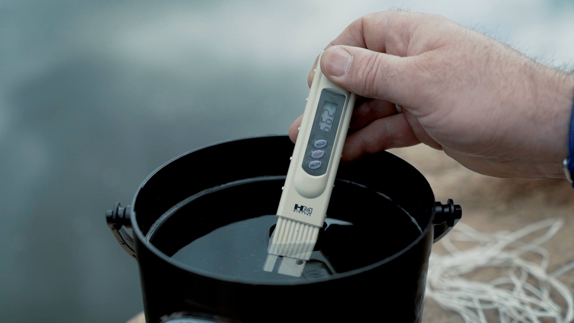 Testing a water sample to check for pollution