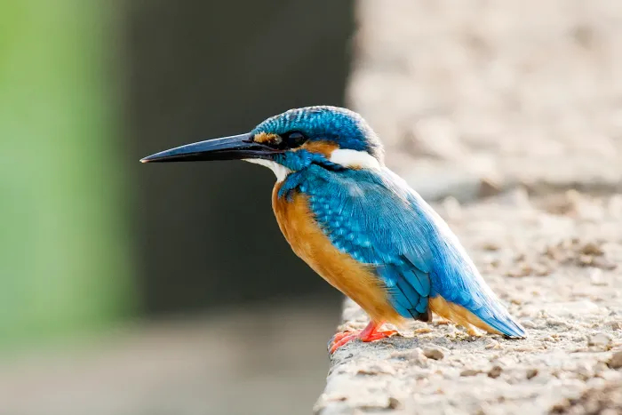A Guide to how to fish legally - respect nature when you go fishing
