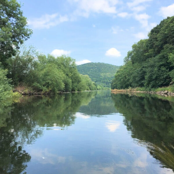 One mile stretch of the River Wye for sale a few miles downstream of Hereford