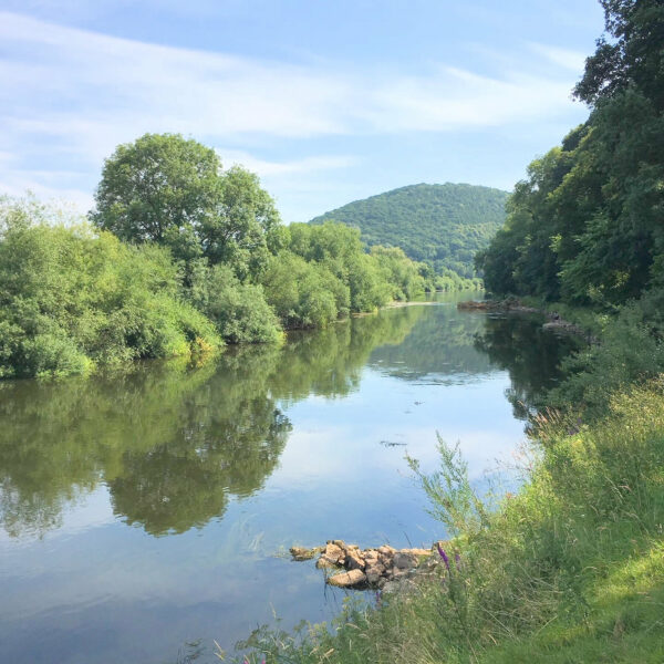 One mile stretch of the River Wye for sale a few miles downstream of Hereford