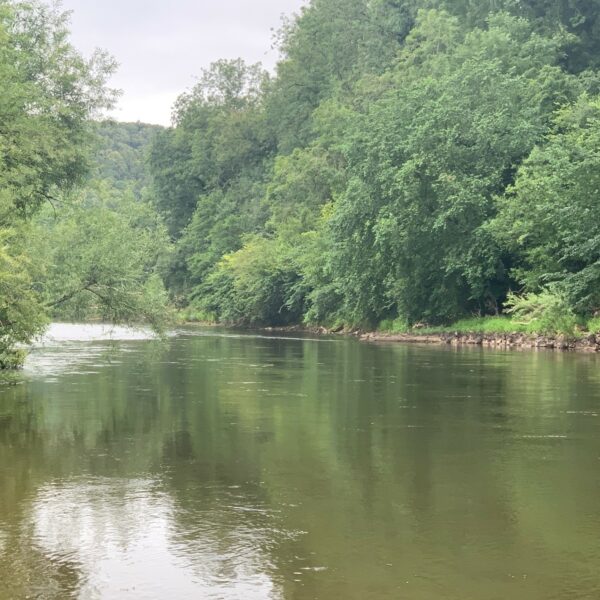 One mile stretch of the River Wye for sale a few miles downstream of Hereford