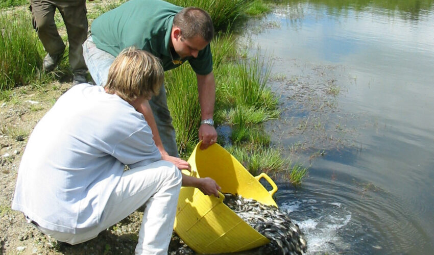 Advice for fishery owners and managers on stocking new fish