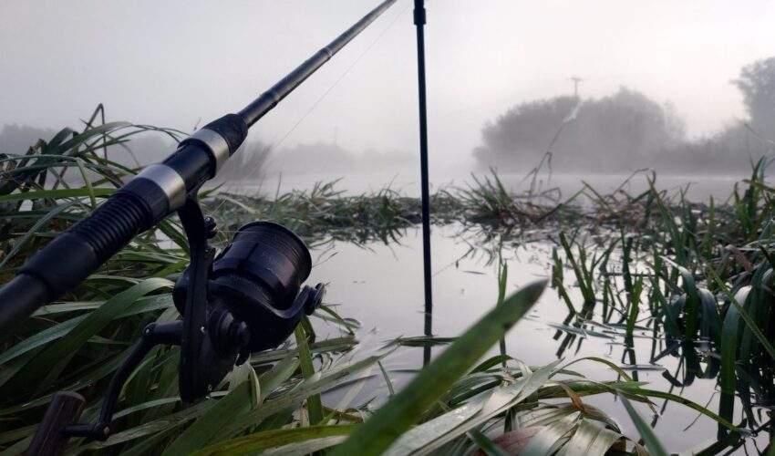 Catching barbel on a flooded river