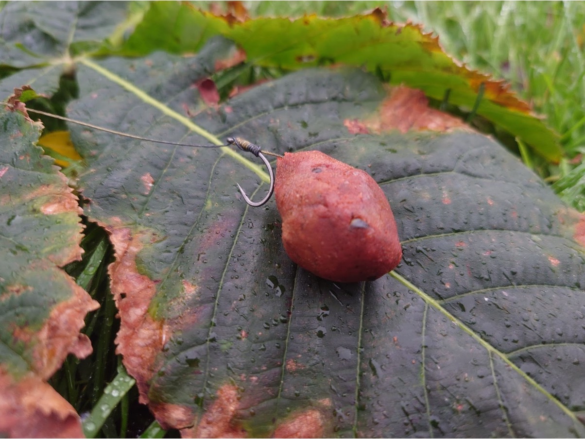 Boilie wrapped in paste makes a great alternative hookbait and can be fished with confidence if you're afraid of your meat coming off.