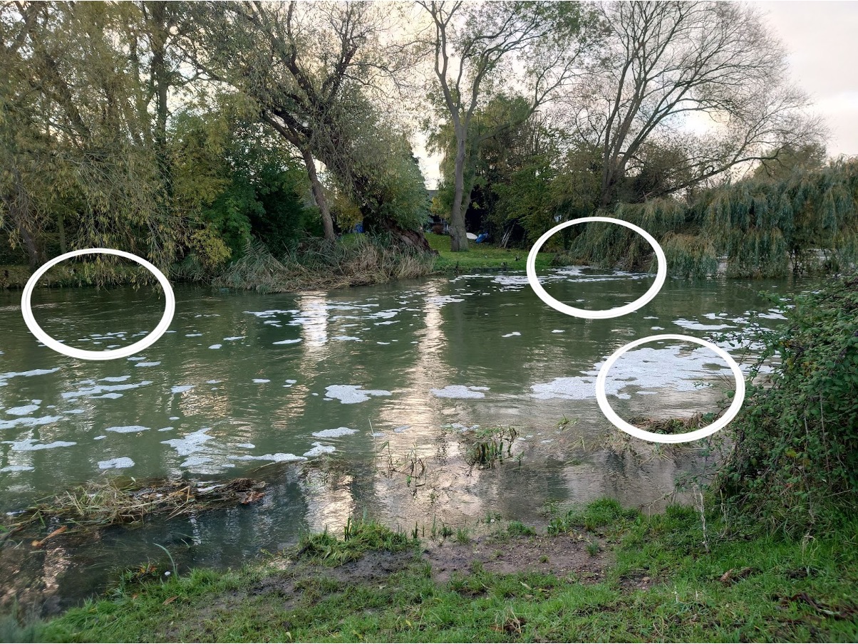 Aim for the slacks and eddies; behind the tree, in the near margin and behind the rushes. Keep the rod high if fishing the far bank, to keep line out of the flow.