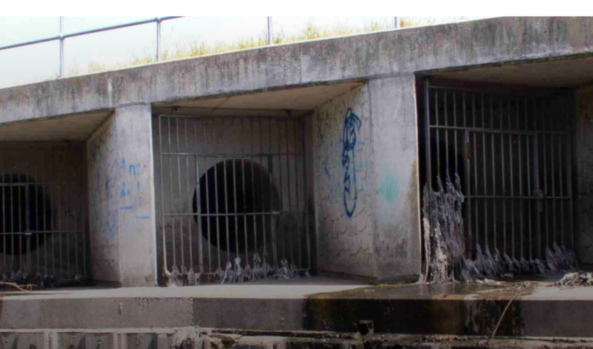 Angling Trust Fish Legal sewage outfall