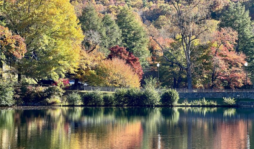 Autumn Fishing