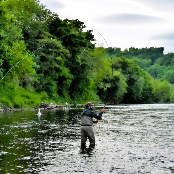 Wyebank Fishery on the River Wye for sale