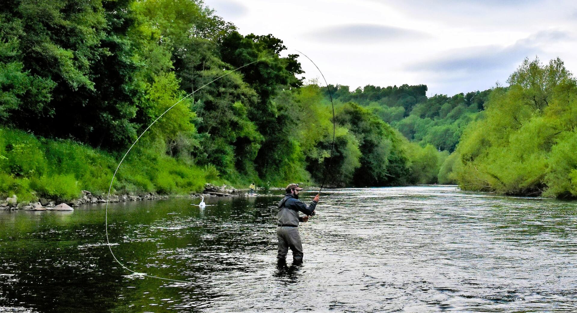 River Wye - Wyebank Fishery for Sale 