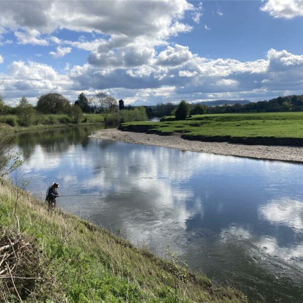 For sale - a share of The Carrots Fishery on the River Wye downstream of Hereford