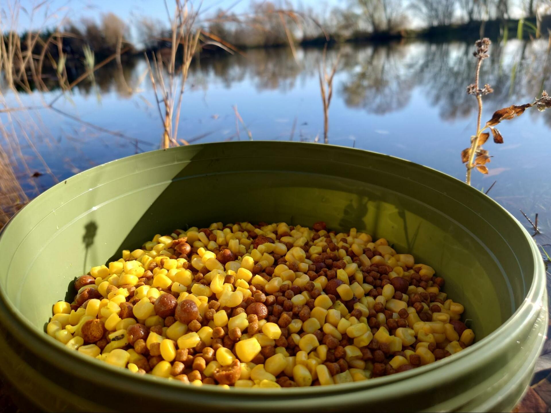 12mm boilies, pellets and sweetcorn; the perfect recipe for winter carp