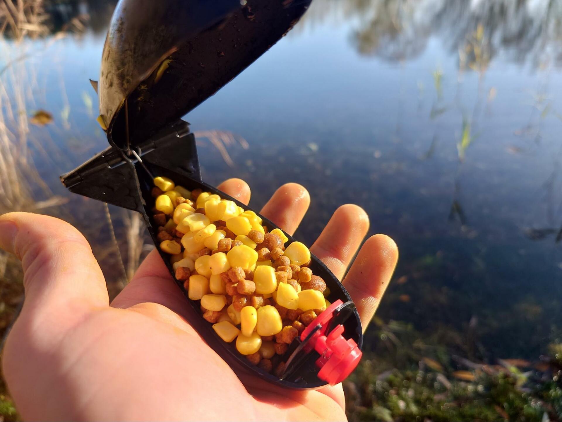 A few medium spombs are enough to entice a bite