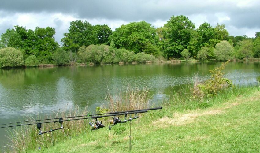 A healthy looking and productive coarse fishery