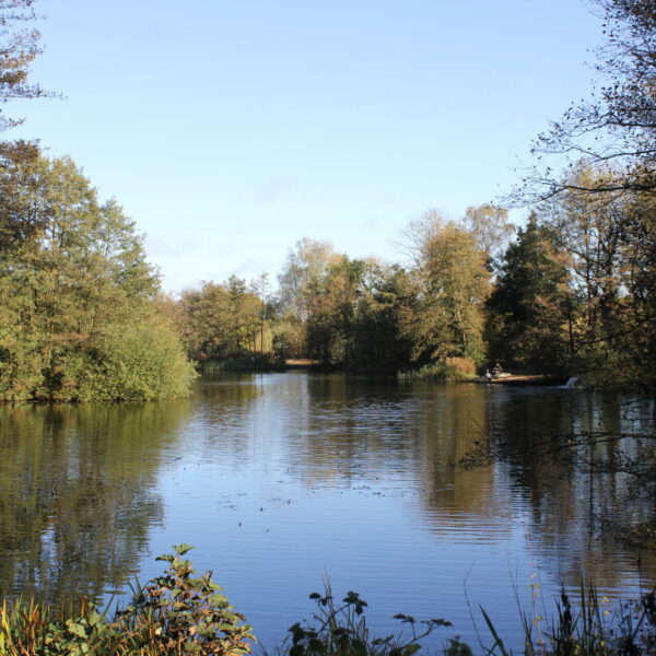 Mario's Lake at Cobbleacre Park Lakes in Hevingham, Norfolk