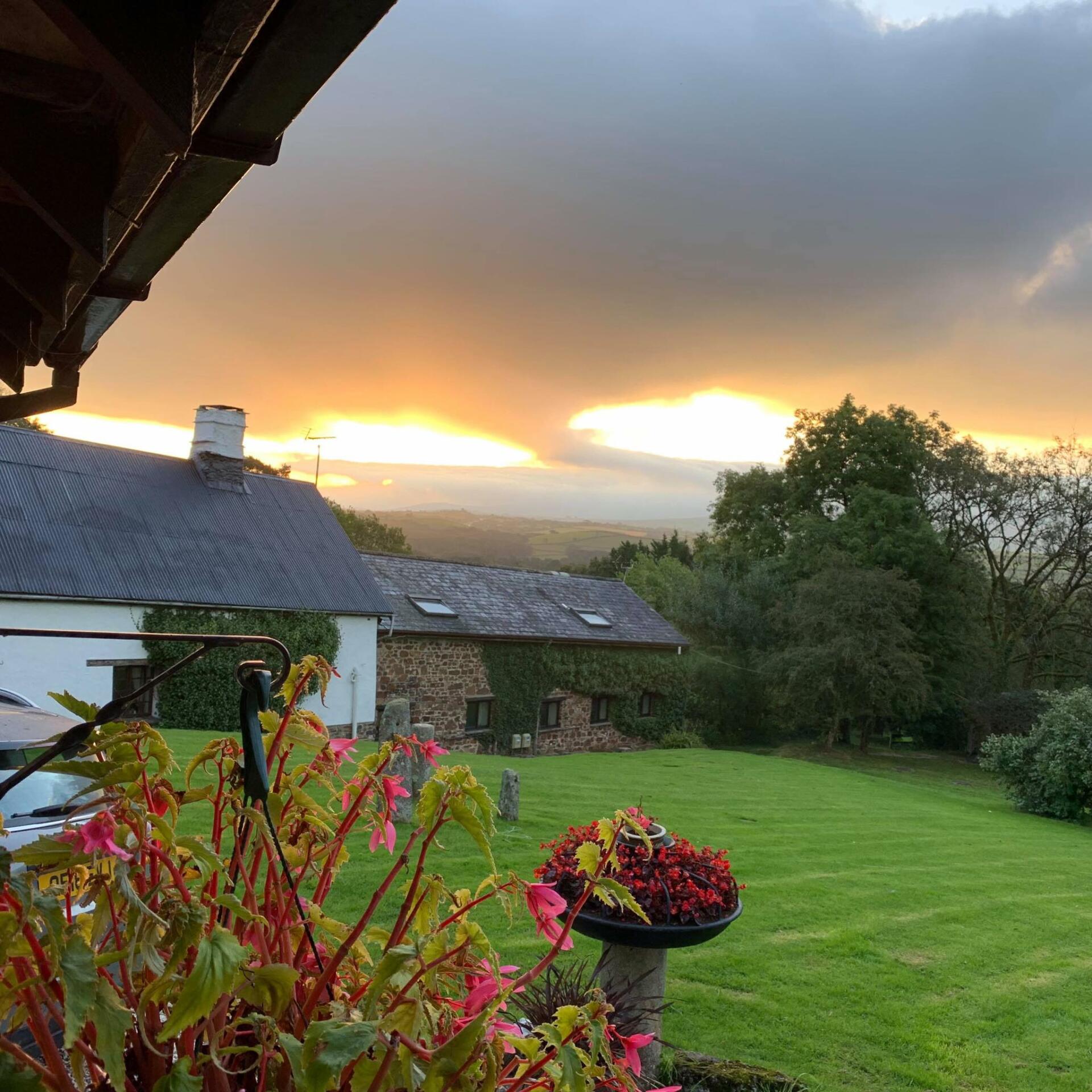 South Reed Farm Fisheries.co.uk