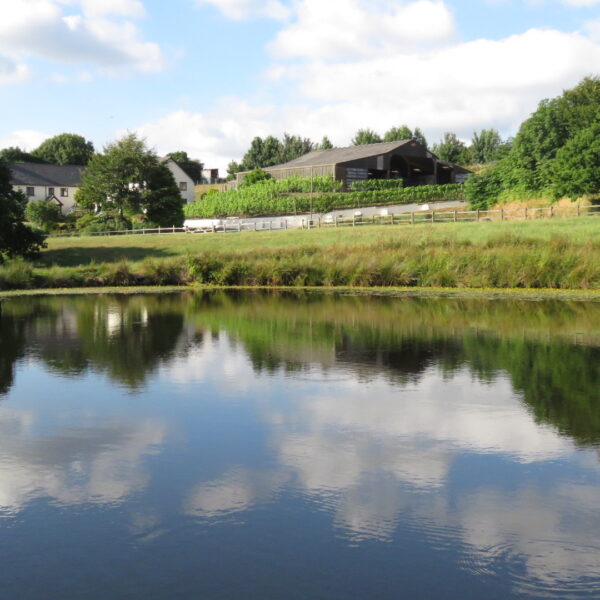 Beaples Barton Holiday Cottages