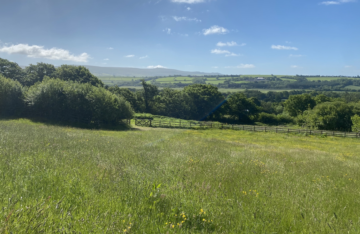 South Reed Farm Fisheries.co.uk