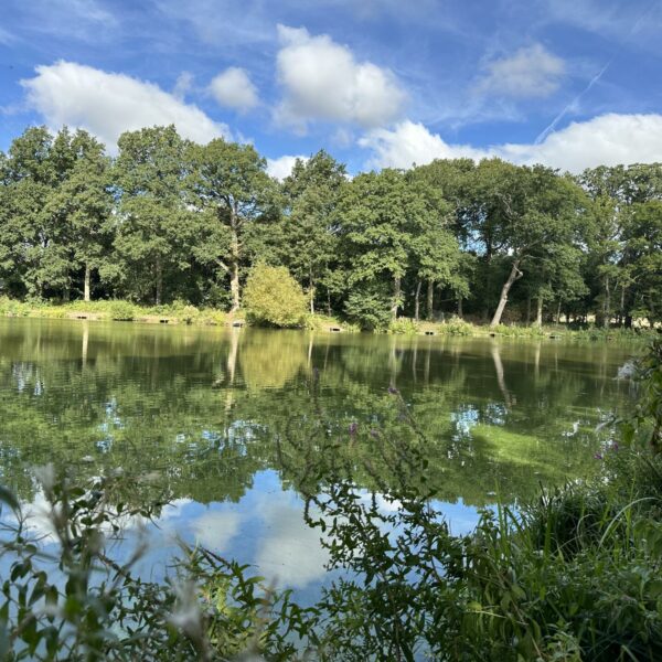 Shrewley Pools Farm