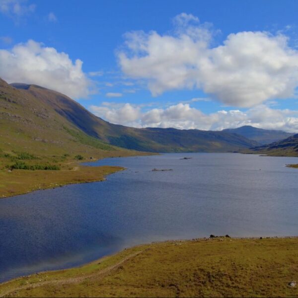 Loch Damph fishing rights, land and planning permission